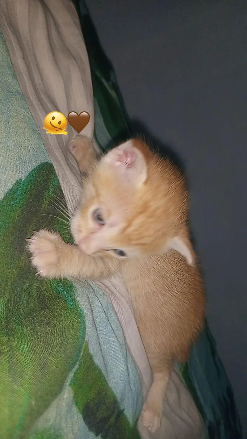cutest — photo 5
