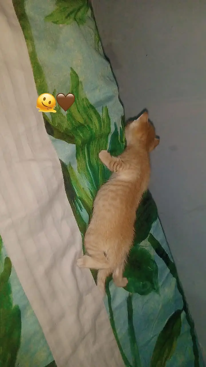 cutest — photo 6