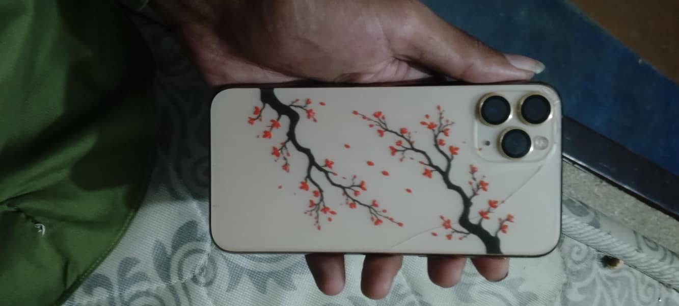 iphone 11 Pro 6