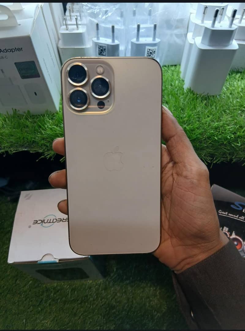 iphone 13pro max 1