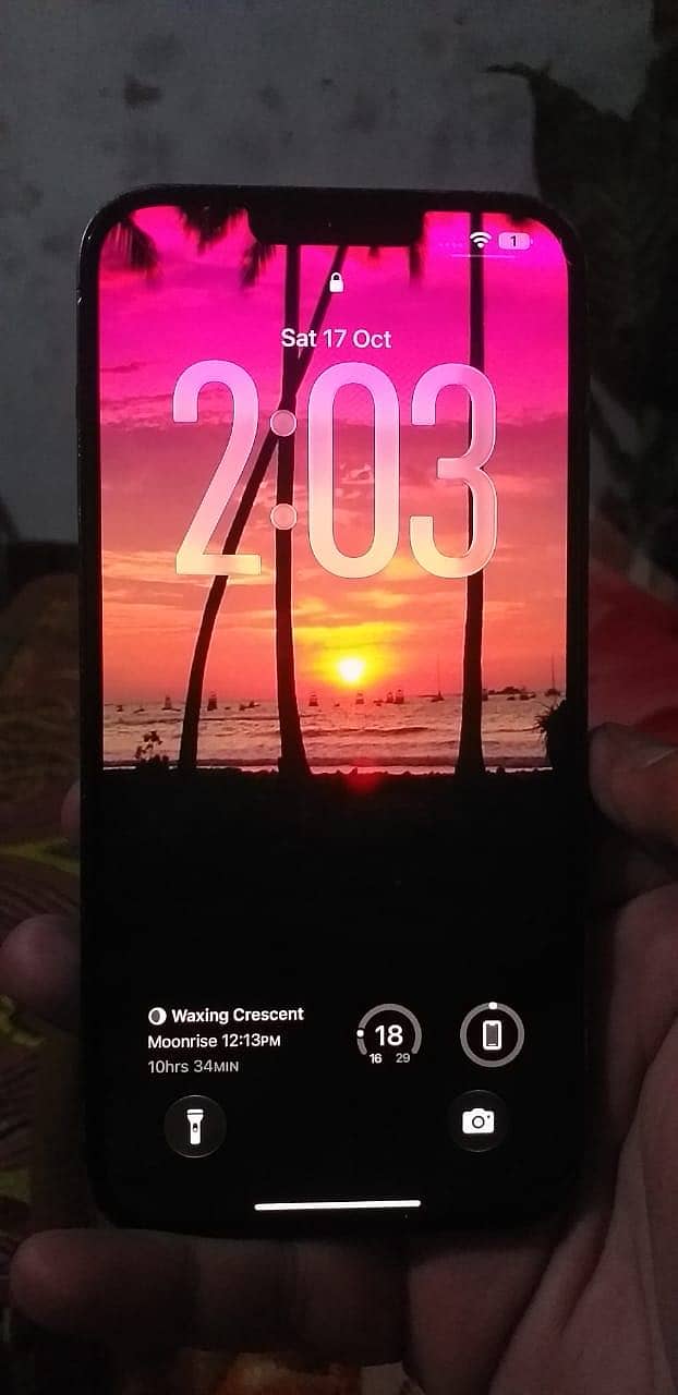 Apple iPhone 13 Pro Max 0
