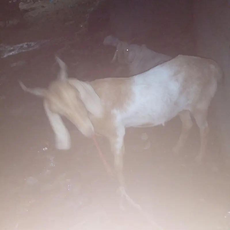 sare 3 mahene ki gabin hai confirm — photo 2