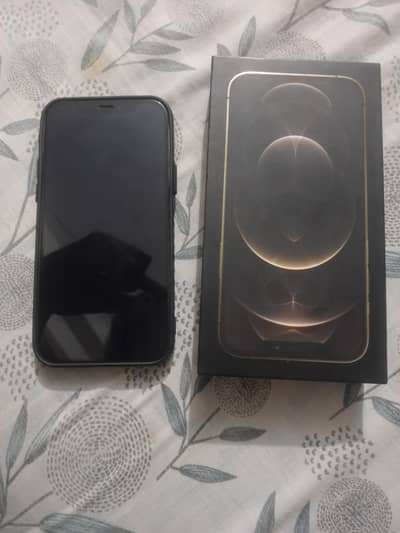 Apple iPhone 12 Pro