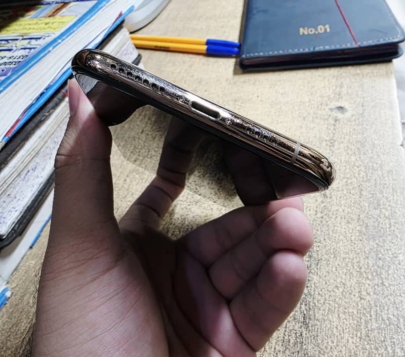 Apple iPhone XS Max 1