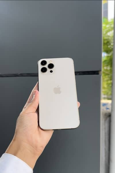 Apple iPhone 12 Pro Max