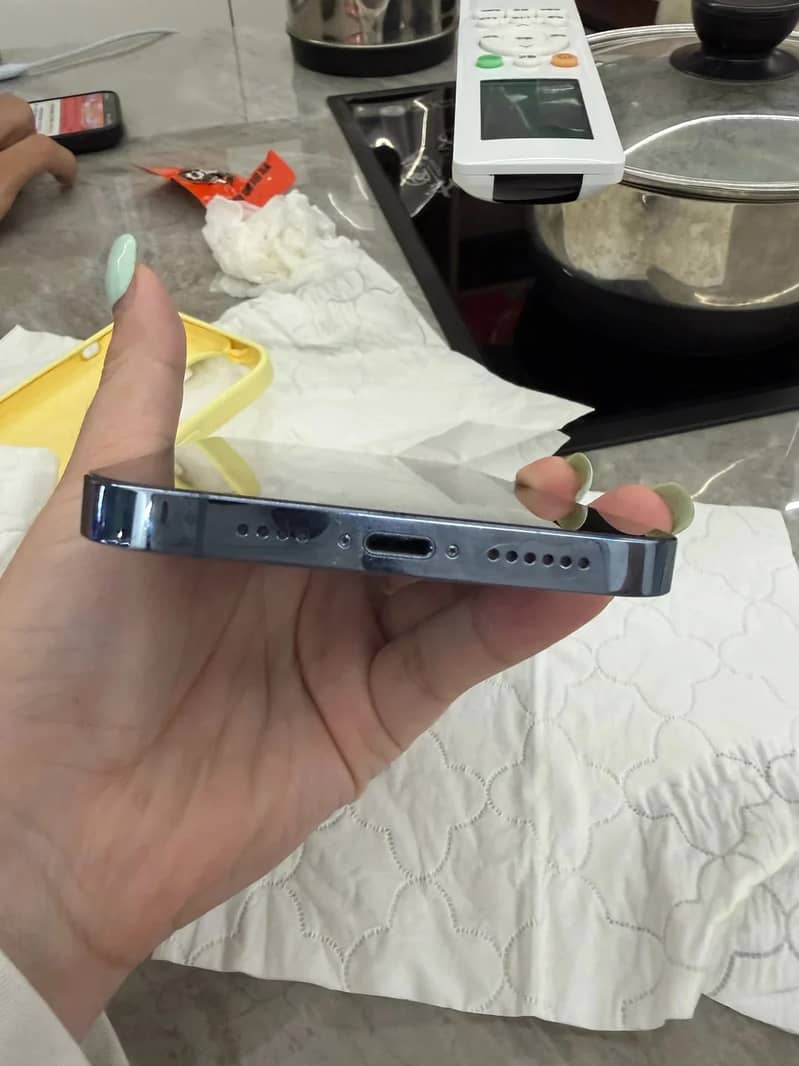 Apple iPhone 13 Pro Max 1