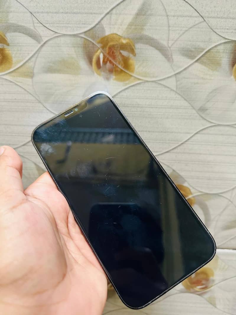 Apple iPhone 12 Pro Max 1