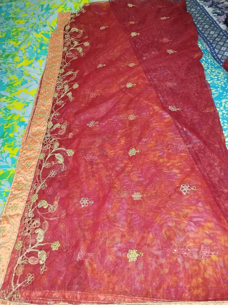 sharara 12
