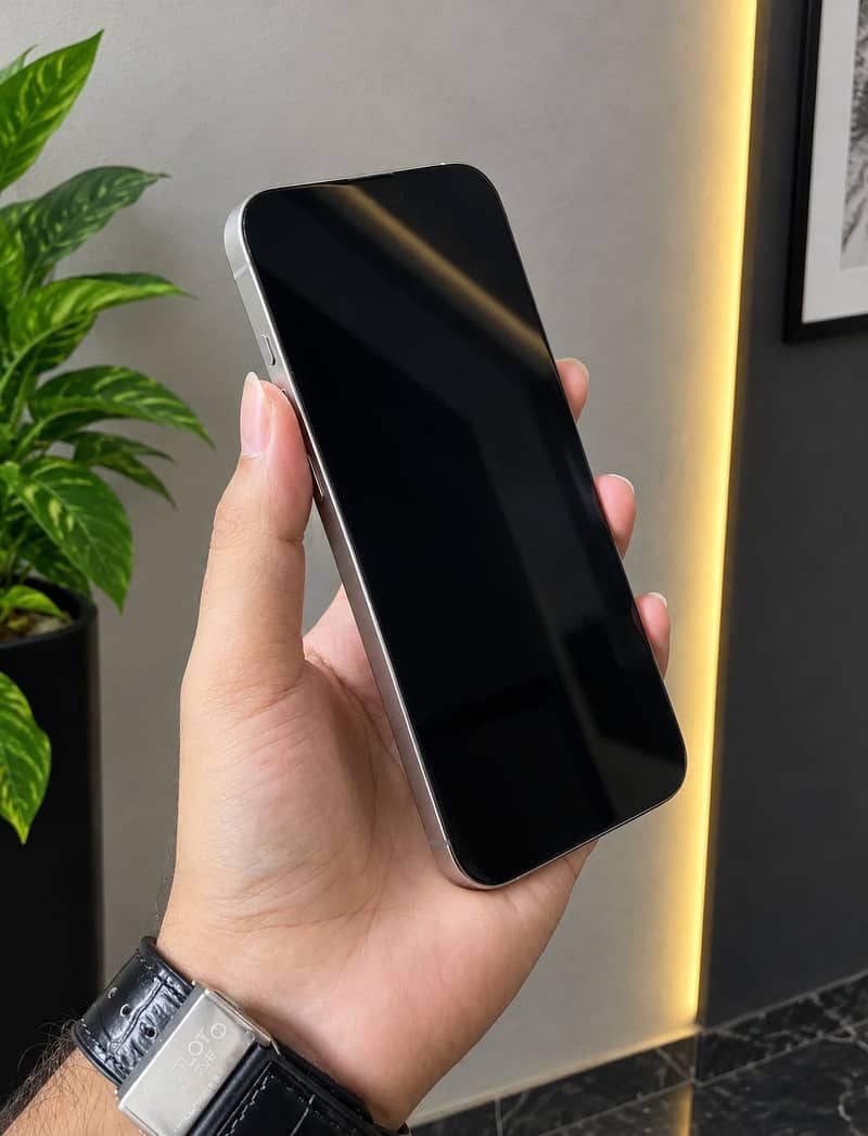 Apple iPhone 15 Pro Max 1