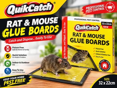 Rat & mouse glue board