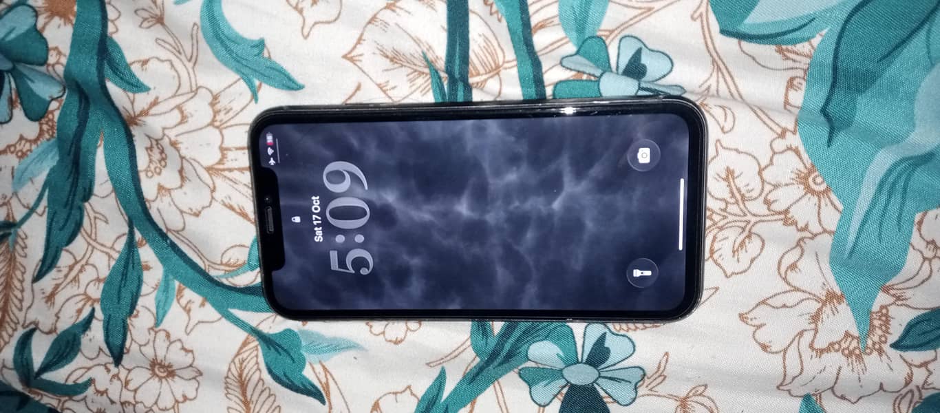 Apple iPhone 11 0