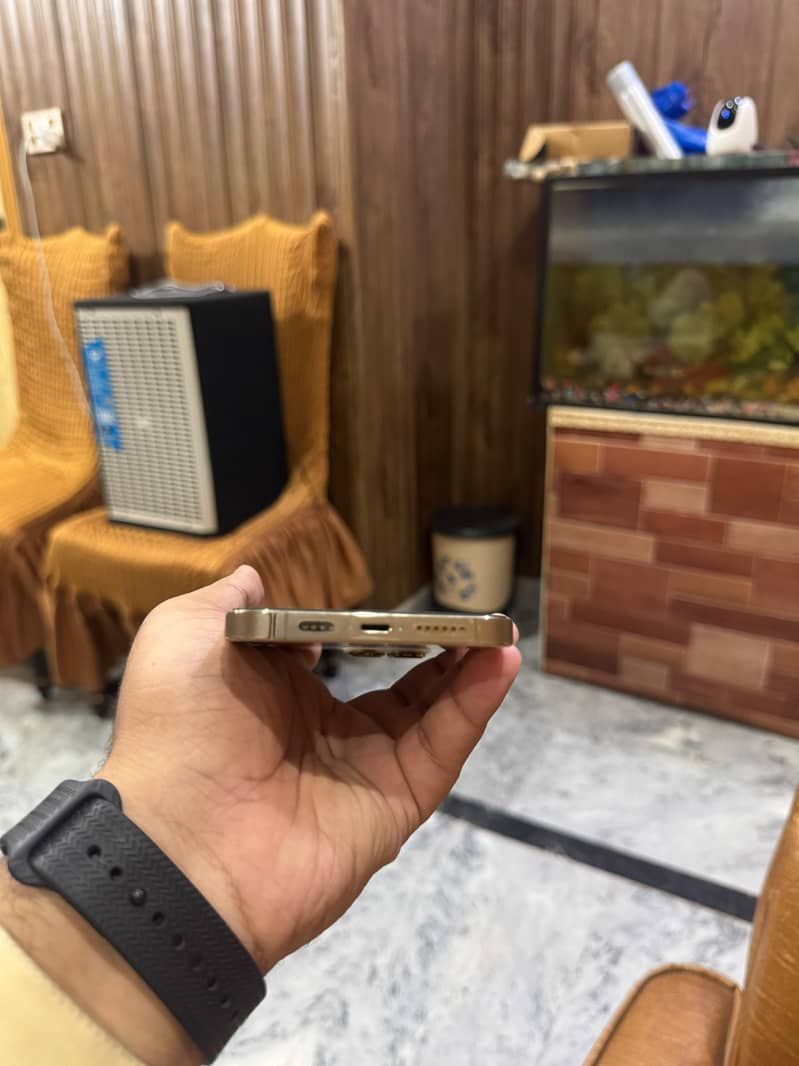 Apple iPhone 13 Pro Max 2
