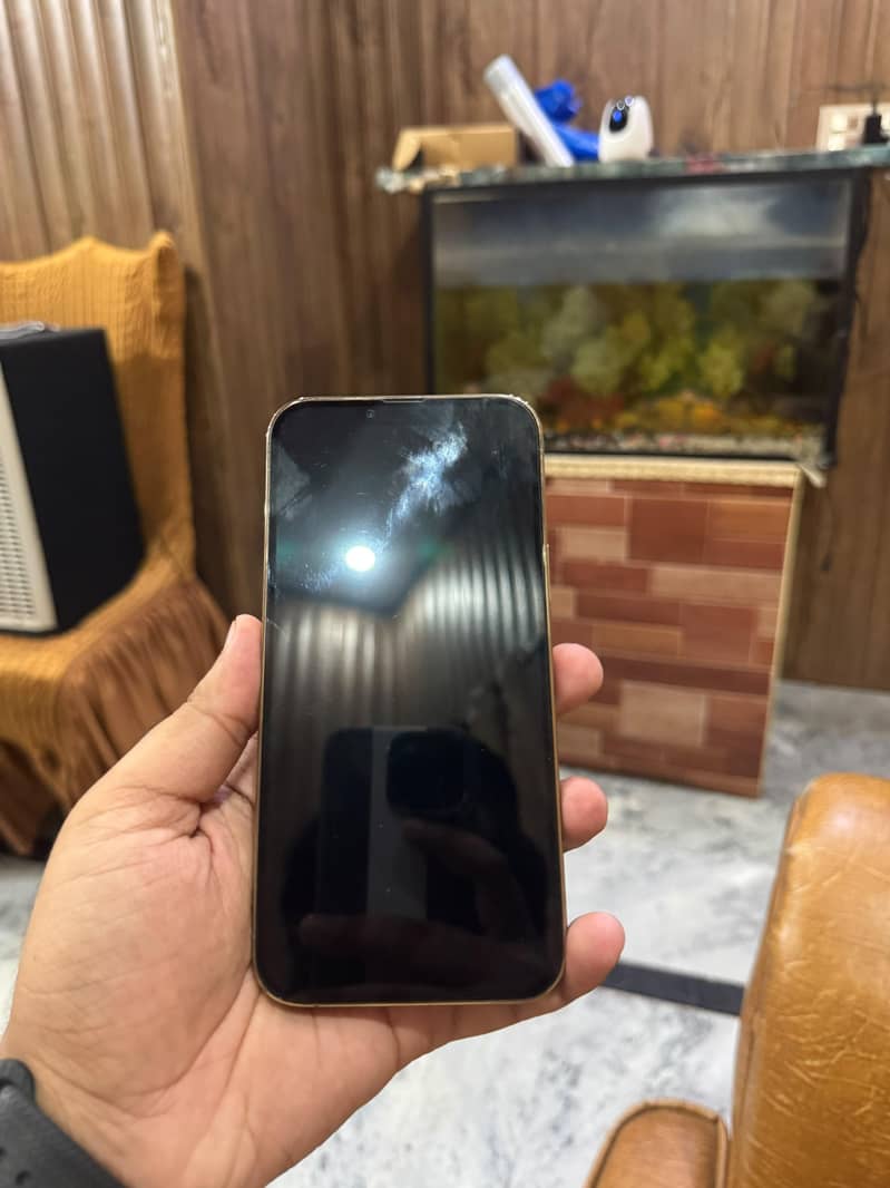 Apple iPhone 13 Pro Max 1