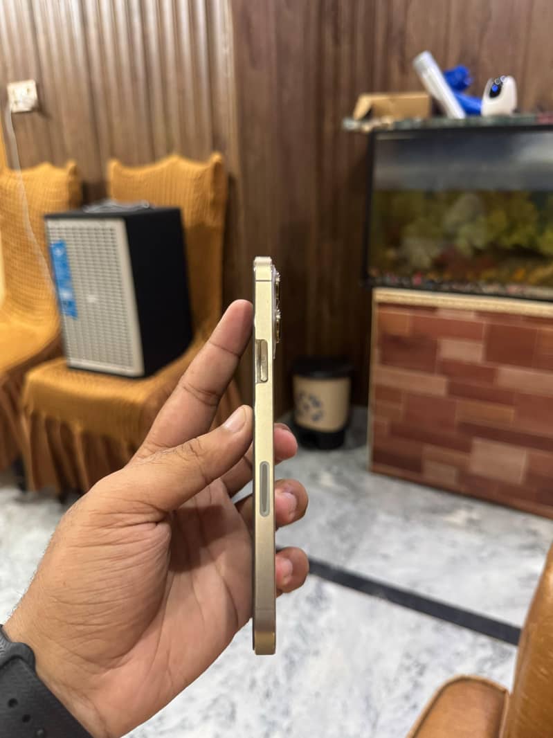 Apple iPhone 13 Pro Max 4