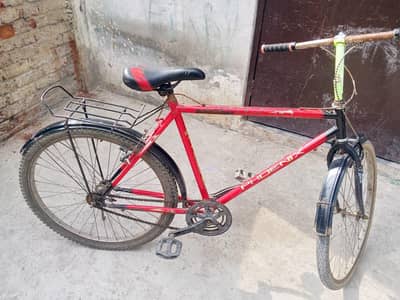 phoenix bicycle