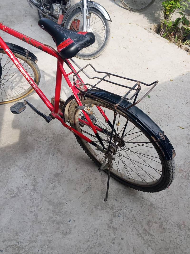 phoenix bicycle 1