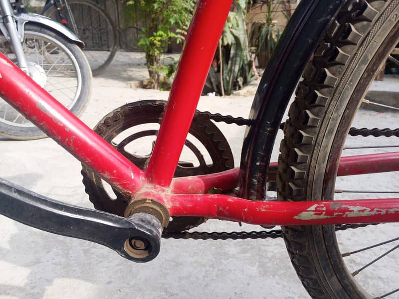 phoenix bicycle 3