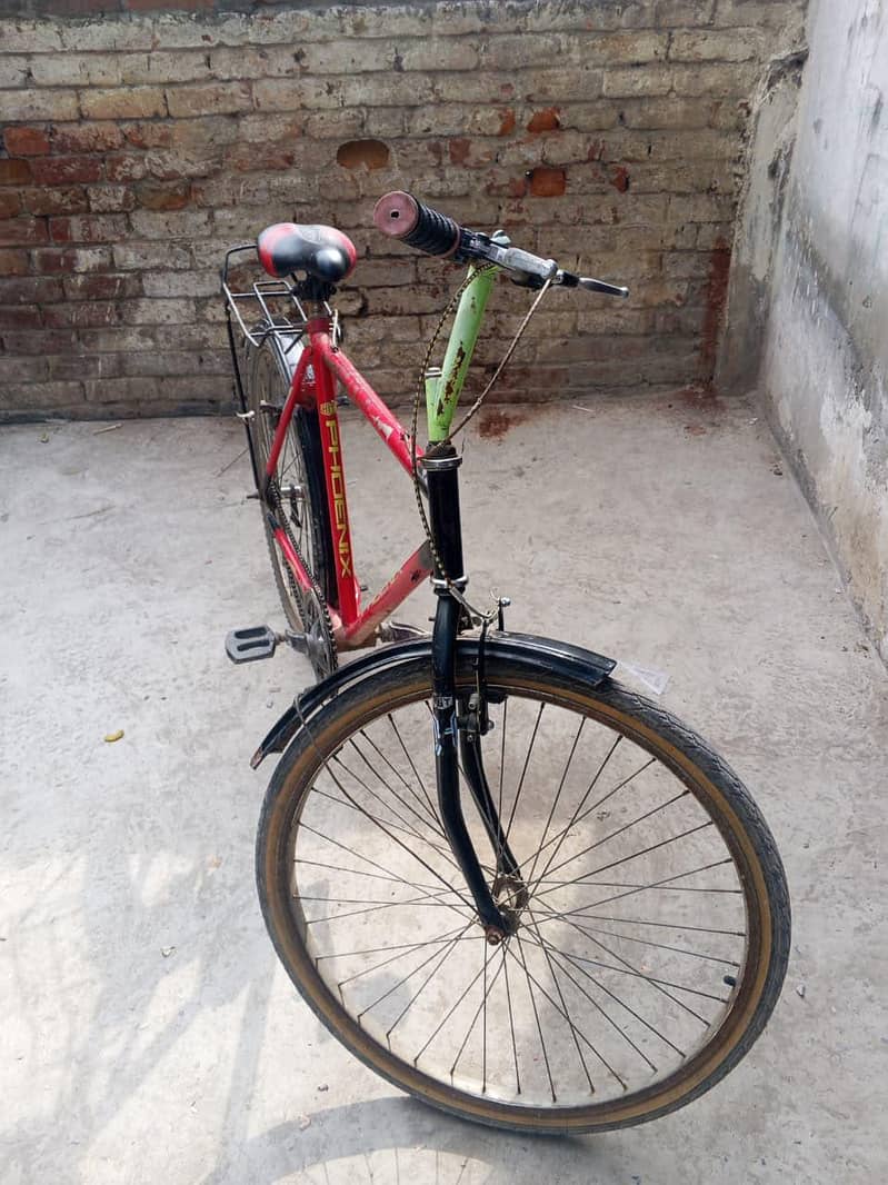 phoenix bicycle 4