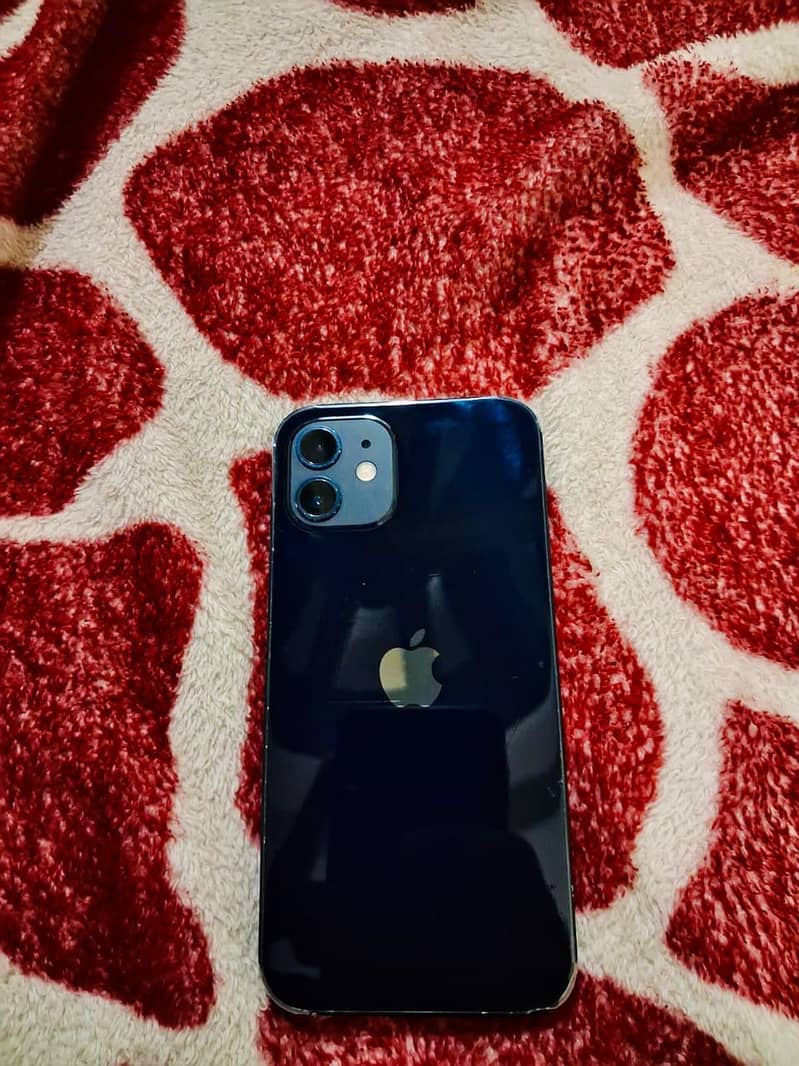 Apple iPhone 12 1