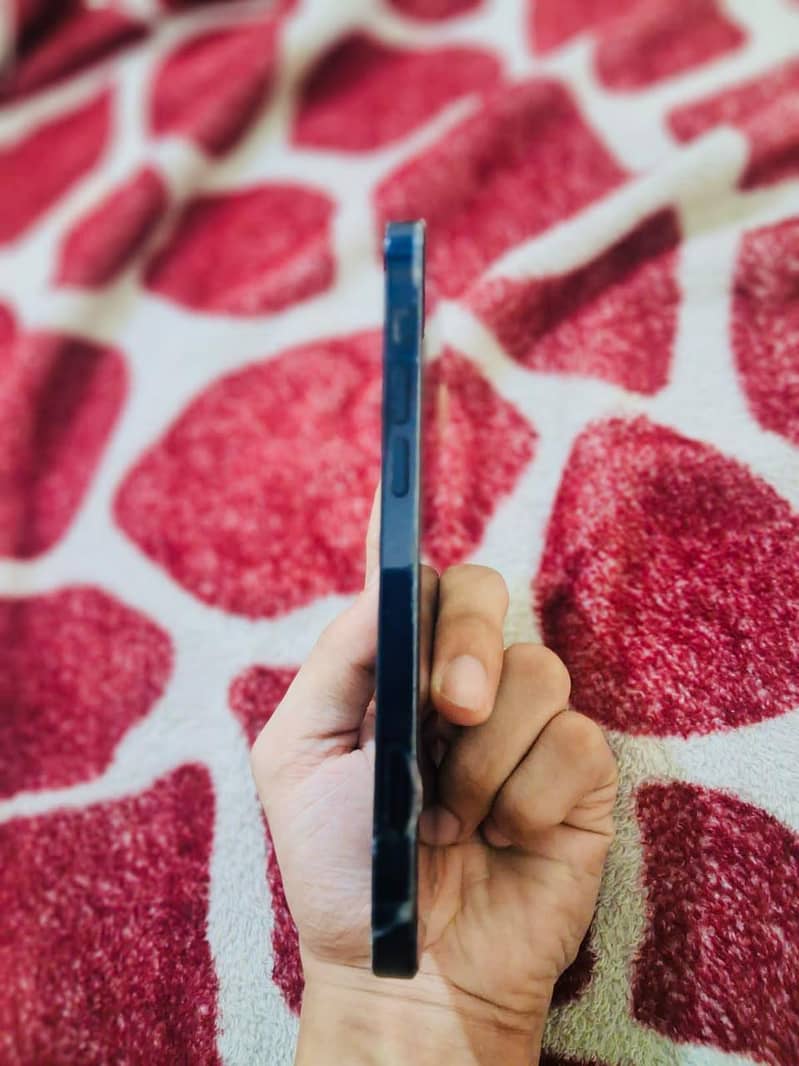 Apple iPhone 12 5