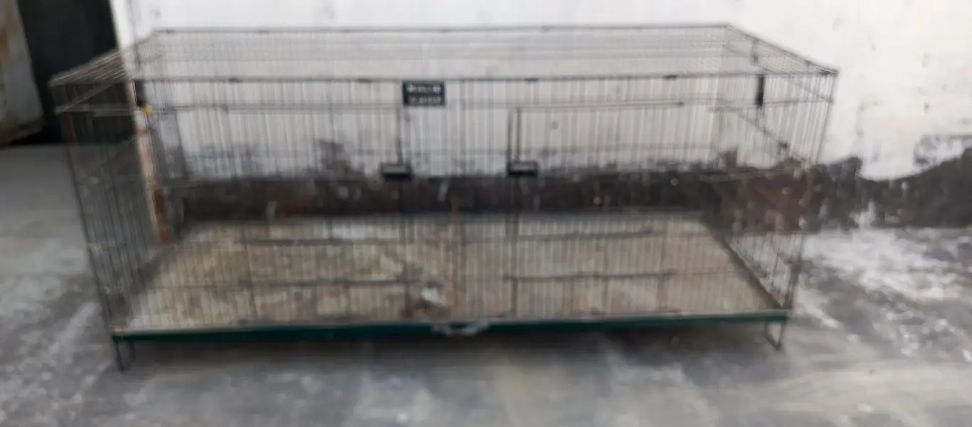 used cages for sale — photo 5