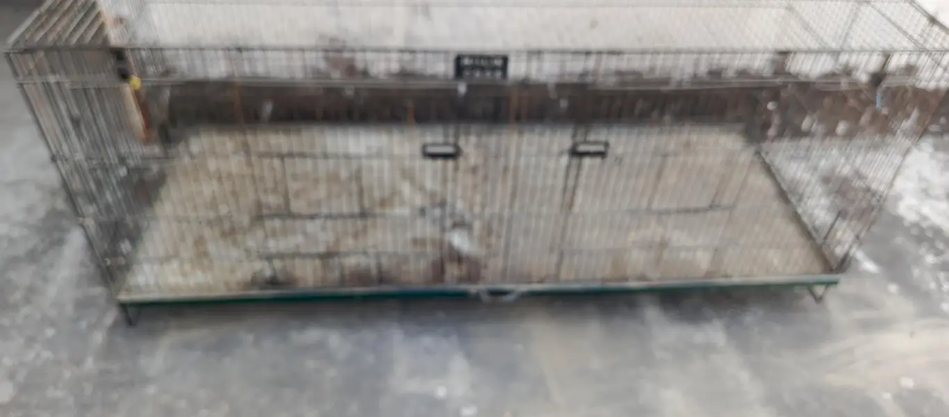 used cages for sale — photo 6