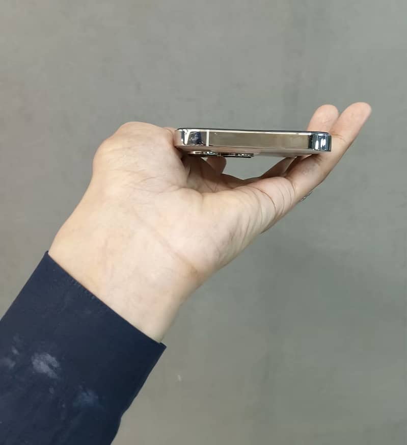 Apple iPhone 13 Pro 1
