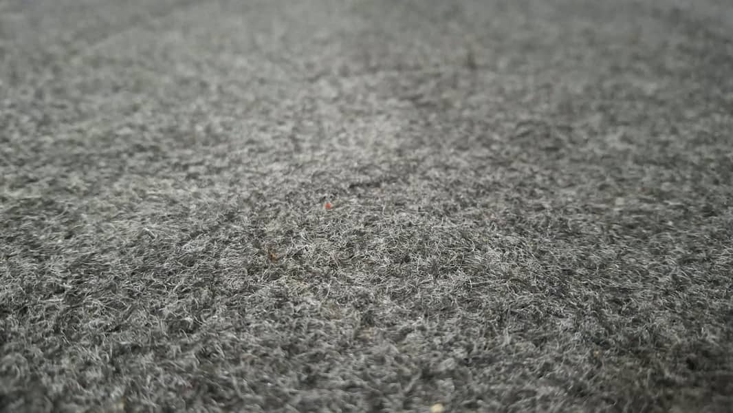 carpet 1