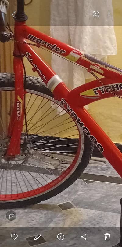 typhoon imported bicycle for sale 0303-5356257