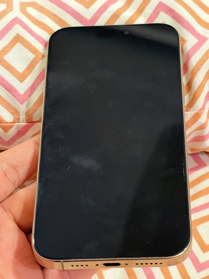 Apple iPhone 16 Pro Max 2