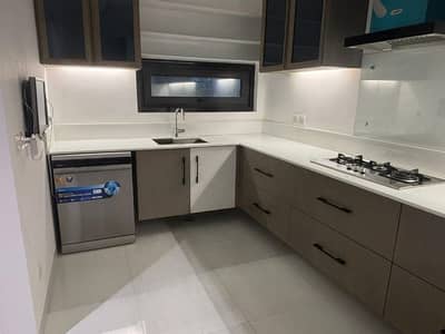 Brand New Fully Furnished Luxurious Lower Ground Portion With Natural Sunlight