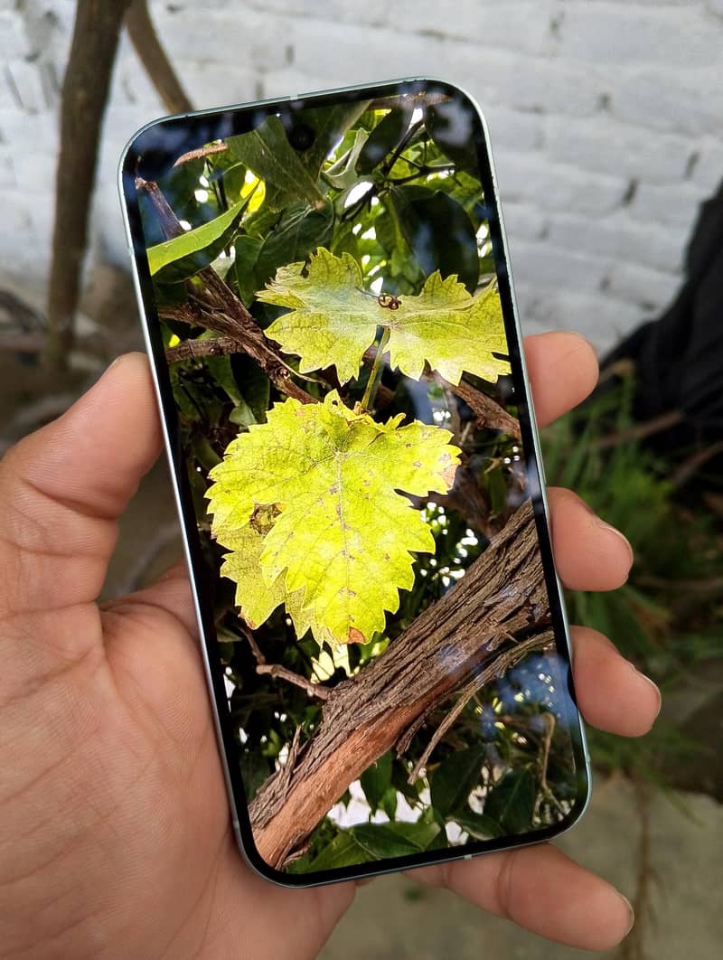 Google Pixel 9 1