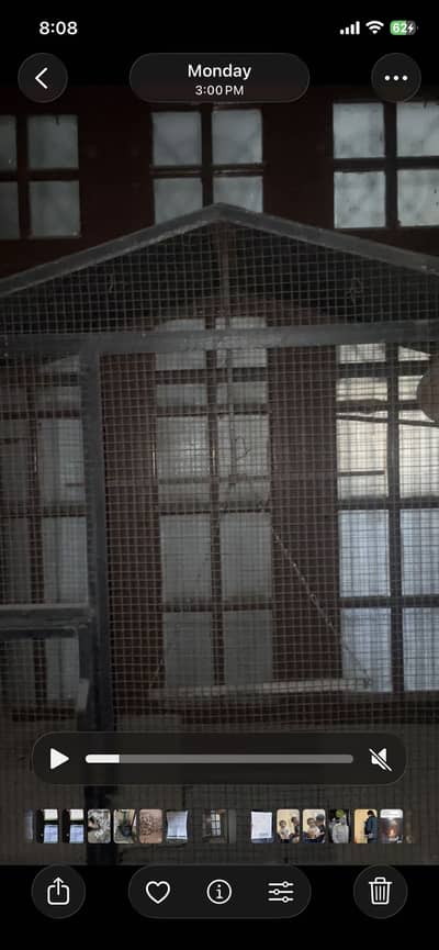 Hut shape cage for big birds