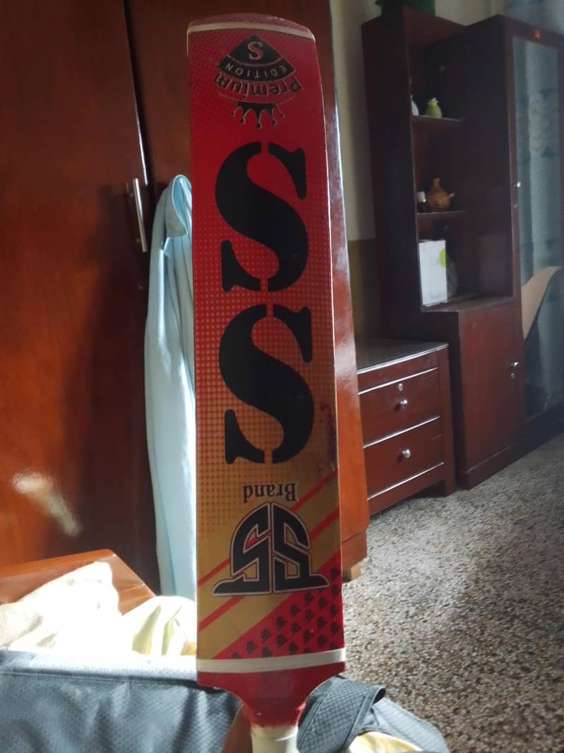 cricket bat 1