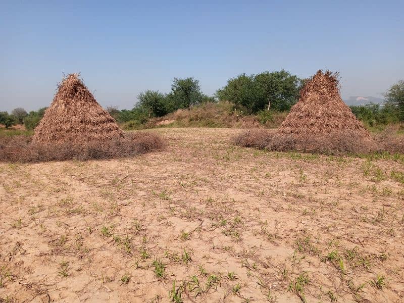 khushk javar 1