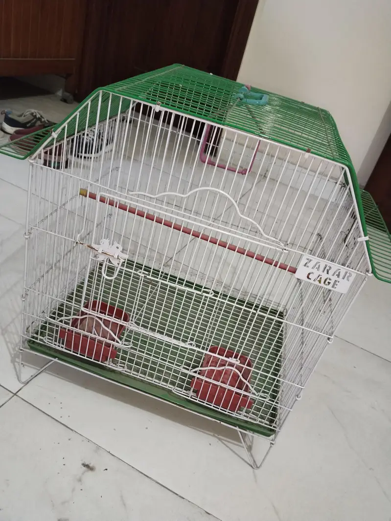 Bird cage new — photo 3