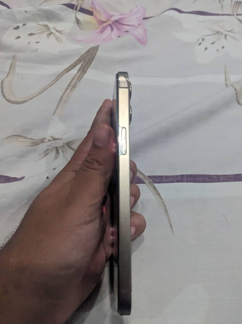 Apple iPhone 12 Pro Max 1