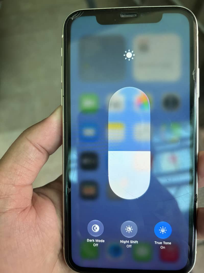Apple iPhone 11 1