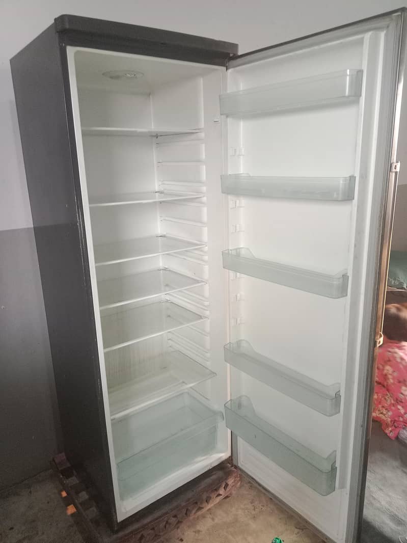 Esquire refrigerator imported 1
