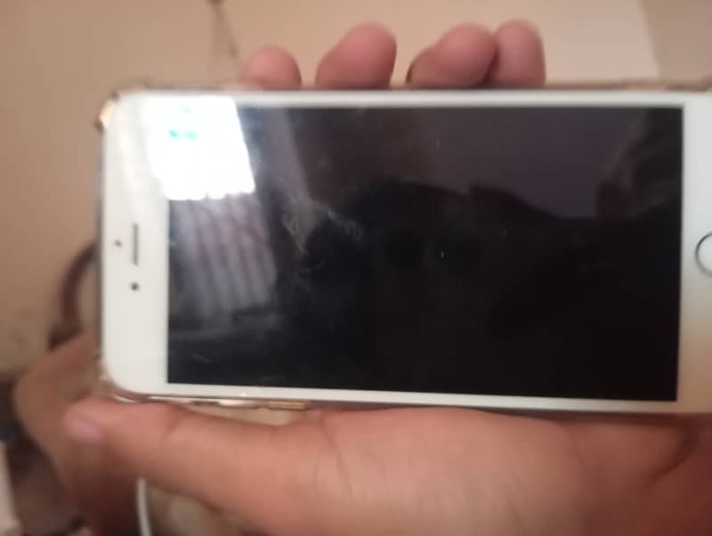 Apple iPhone 6S Plus 0