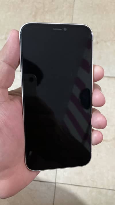 Apple iPhone 12