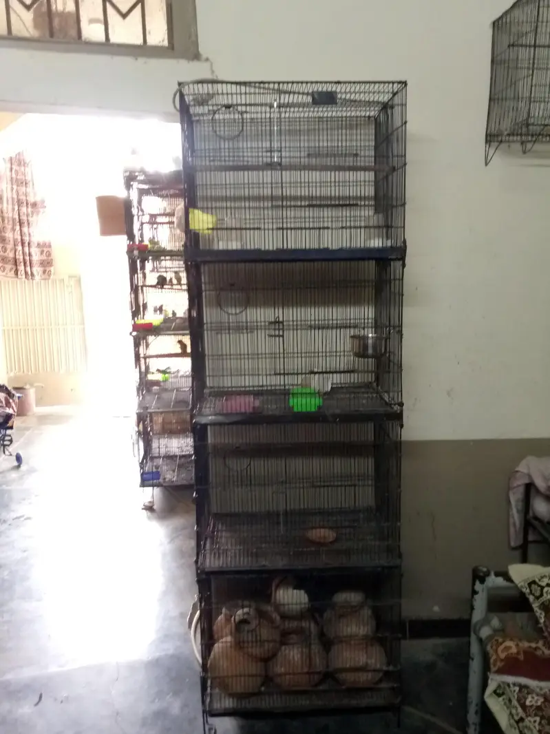 1.5x2 4 portion tower cage available for sale — photo 2