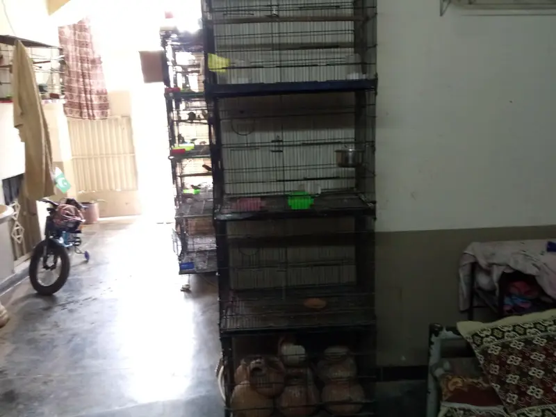 1.5x2 4 portion tower cage available for sale — photo 3