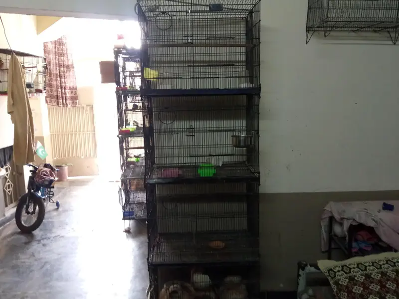 1.5x2 4 portion tower cage available for sale — photo 4