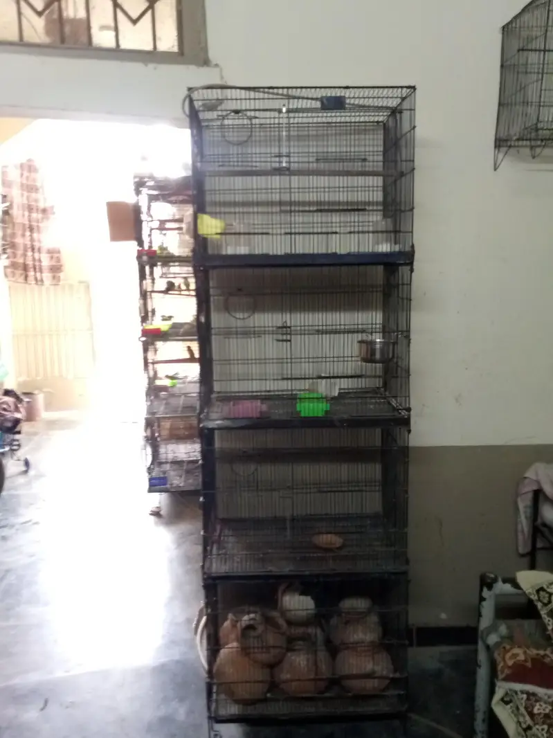 1.5x2 4 portion tower cage available for sale — photo 5
