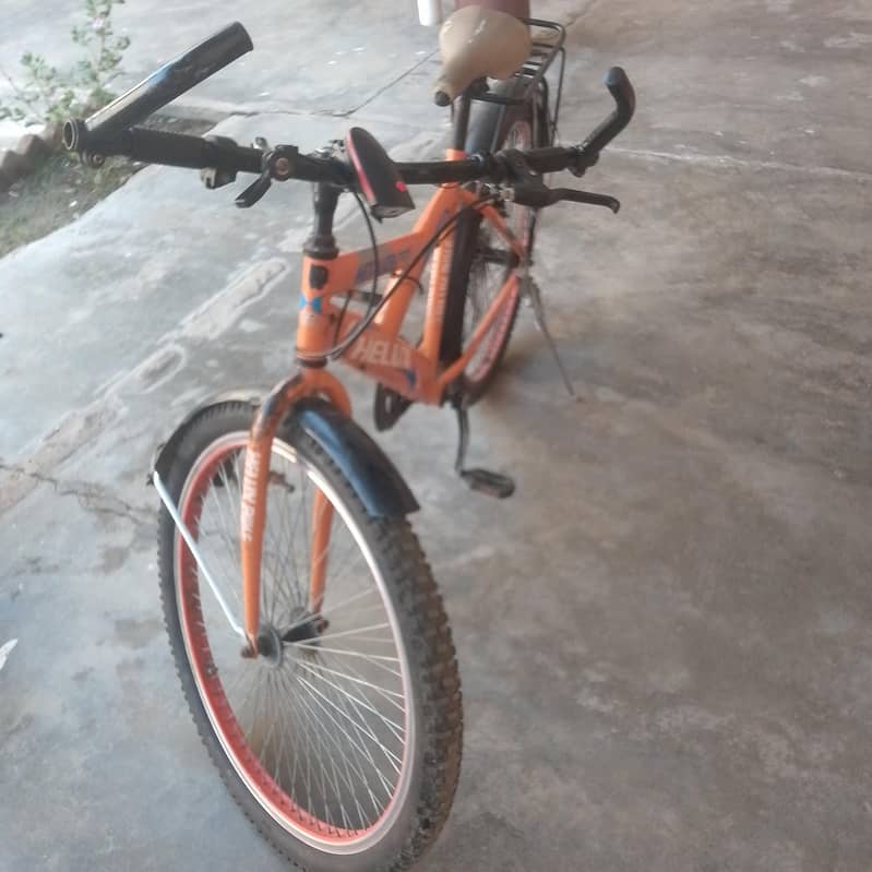 cycle 1
