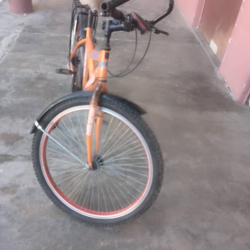 cycle 8