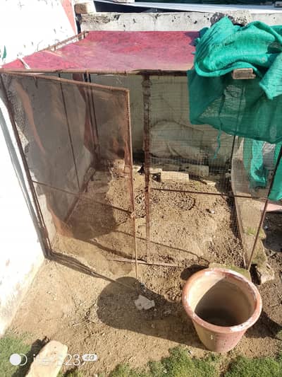 cage for sale