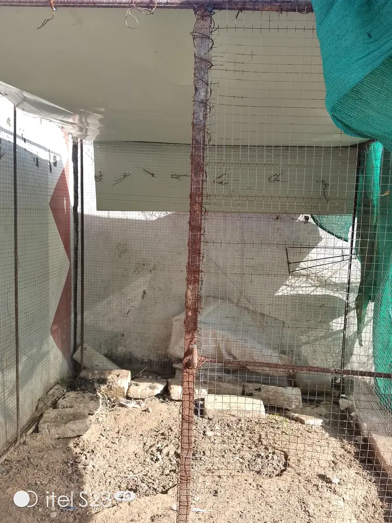 cage for sale — photo 2