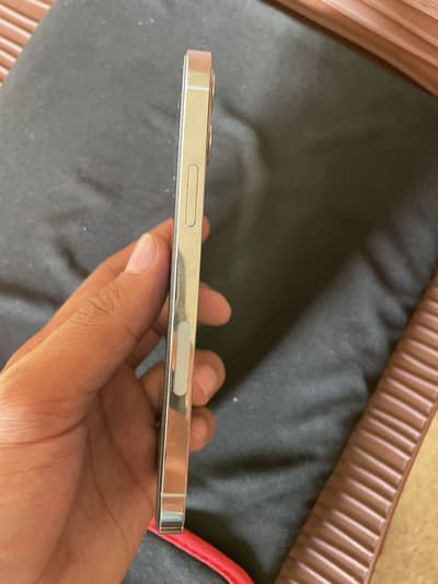 iPhone 12 Pro pta approved
